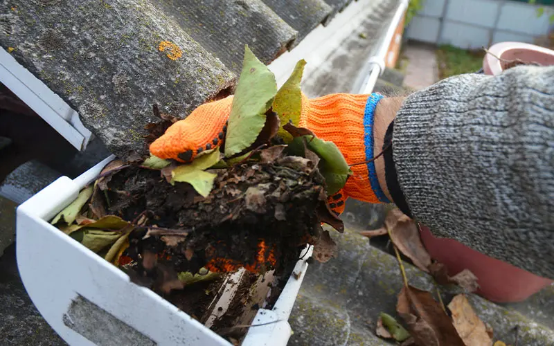 Home Sitter Clearing Gutter Home Sitter Cleaning Rain Gutter